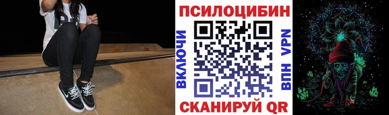 наркошоп  Сясьстрой  omg вход  Псилоцибиновые грибы Cubensis 
